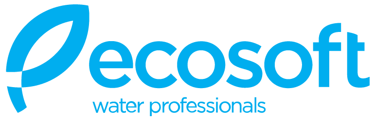 Ecosoft Logo